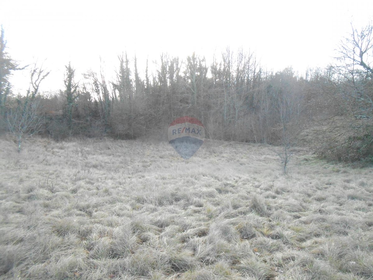 Pozemok Na predaj - ISTARSKA  PAZIN 