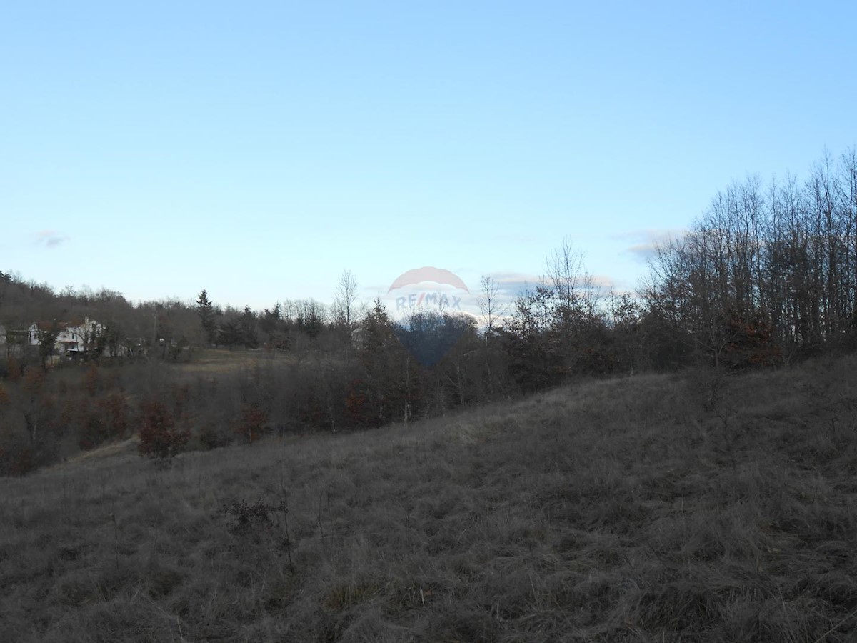 Land For sale - ISTARSKA  PAZIN 