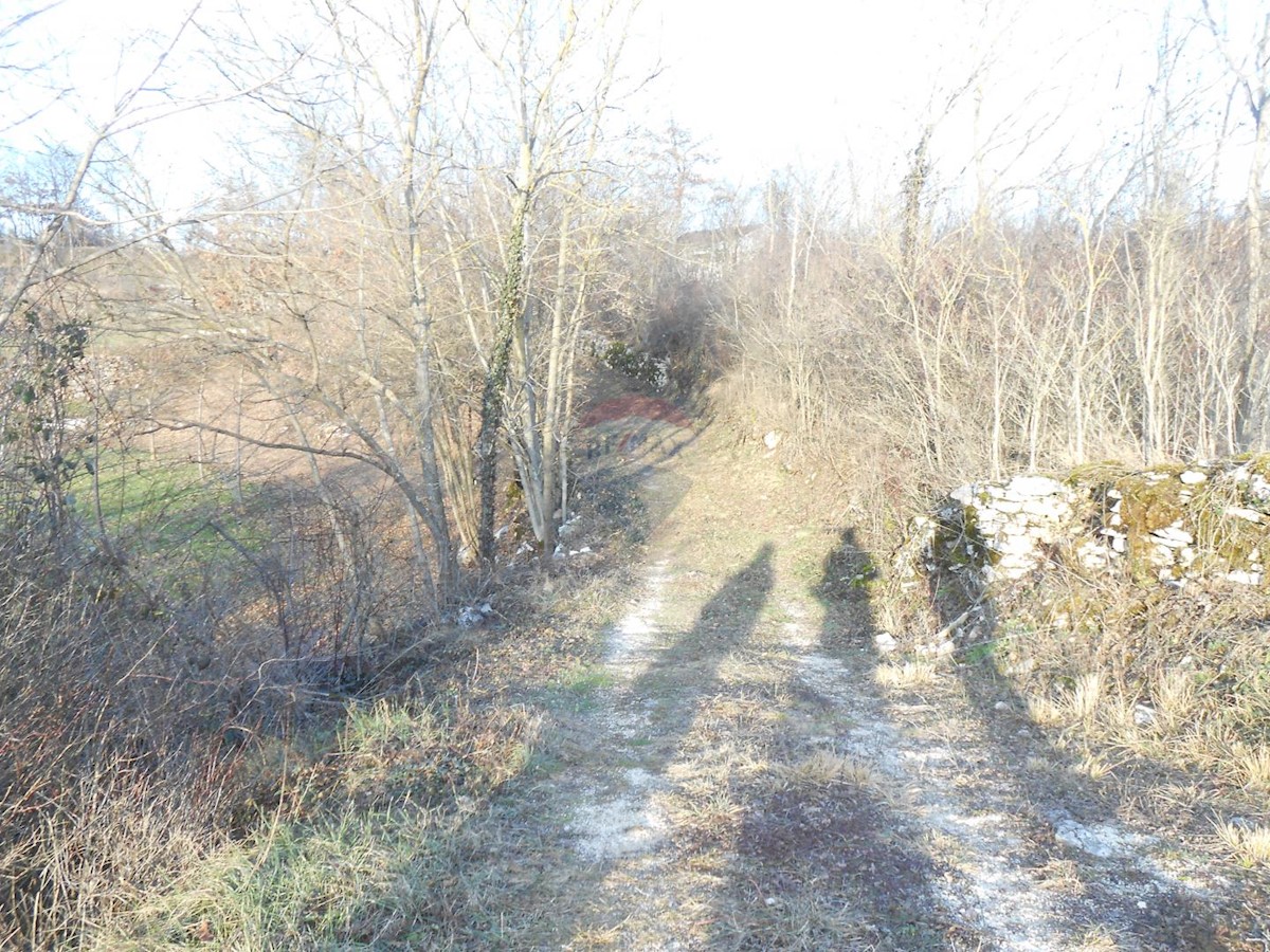 Land For sale - ISTARSKA  PAZIN 