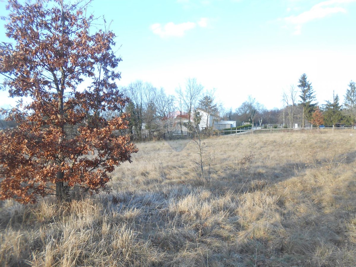 Land For sale - ISTARSKA  PAZIN 