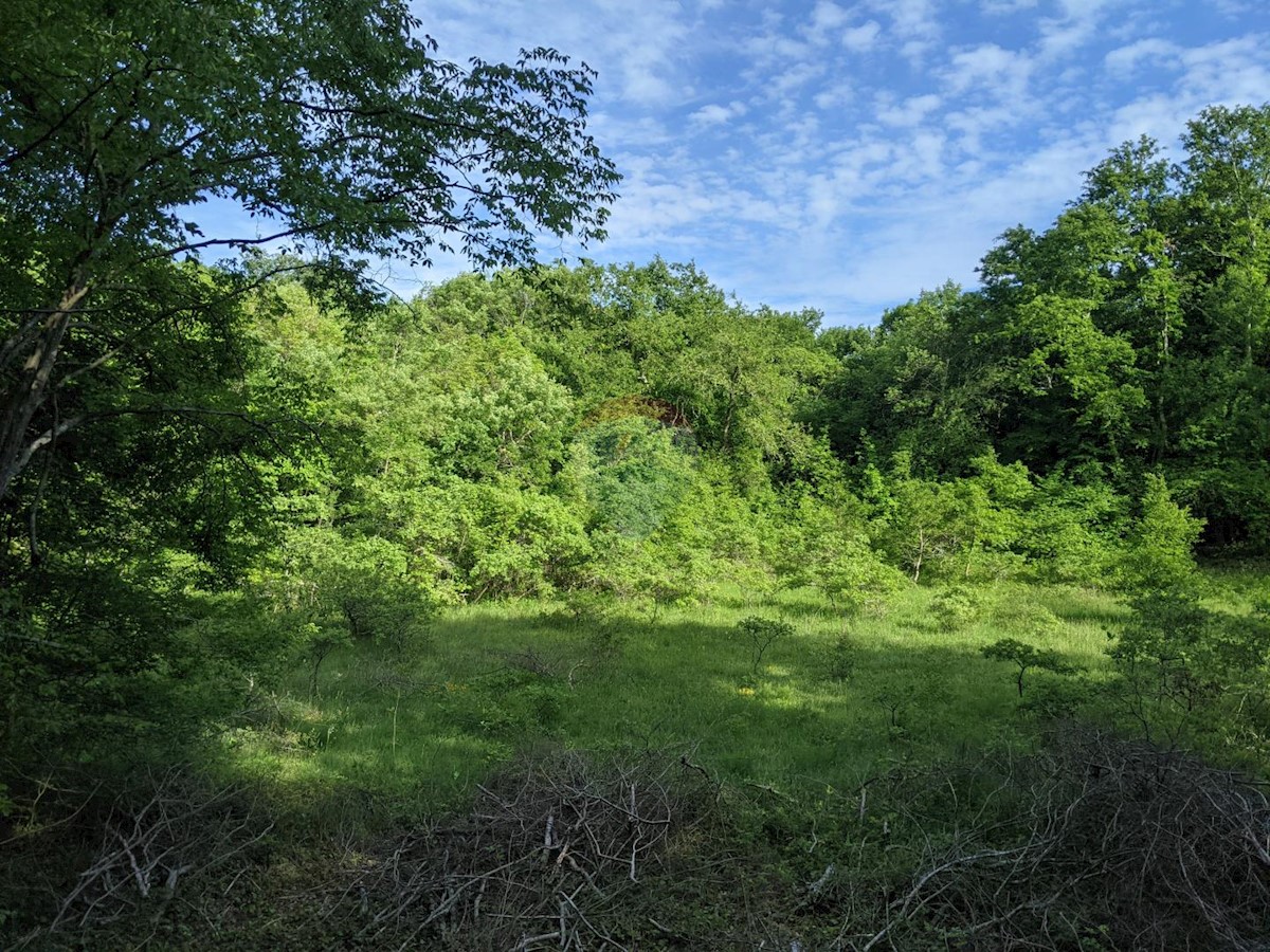 Terreno In vendita - ISTARSKA  ROVINJ 