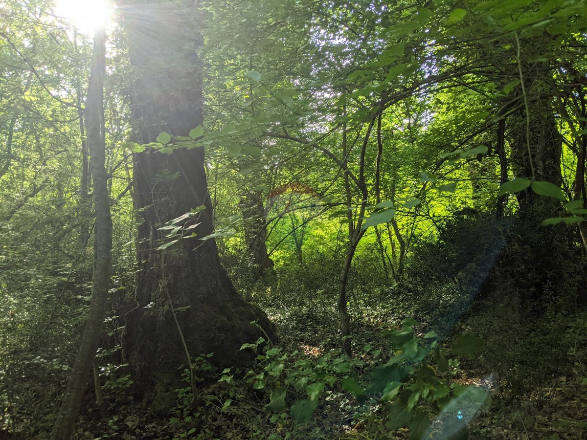 Terreno In vendita - ISTARSKA  ROVINJ 