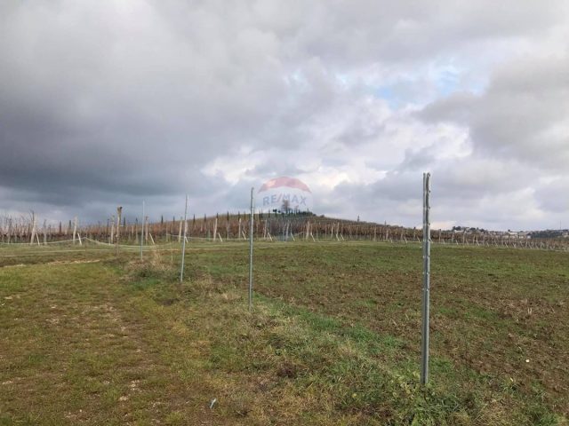 Terreno in vendita 54000 m² – Buje