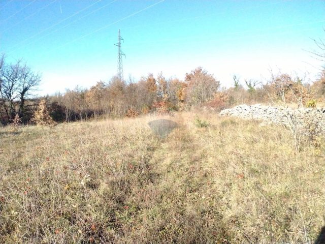 Terreno In vendita - Istarska Svetvinčenat - foto 3/3