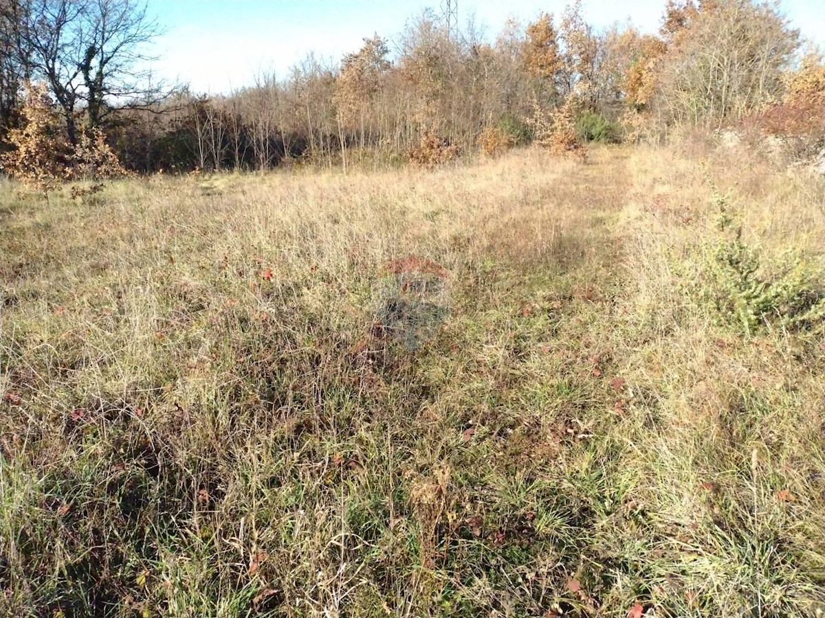 Terreno In vendita - ISTARSKA  SVETVINČENAT 