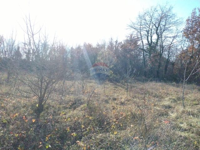 Zemljište na prodaju 2914 m² – Salambati