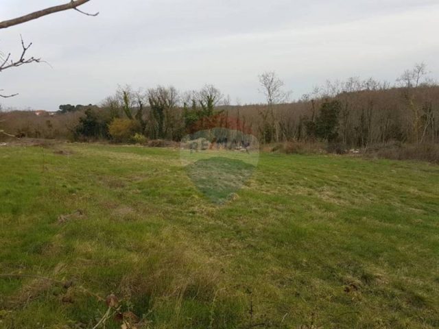 Terreno In vendita - Istarska Višnjan - foto 3/3