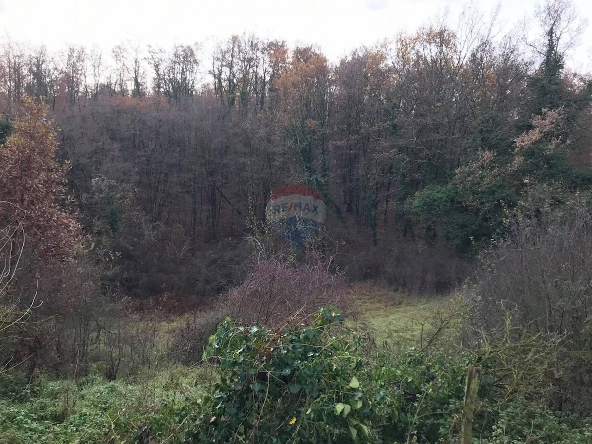 Pozemek Na prodej - ISTARSKA  PAZIN 