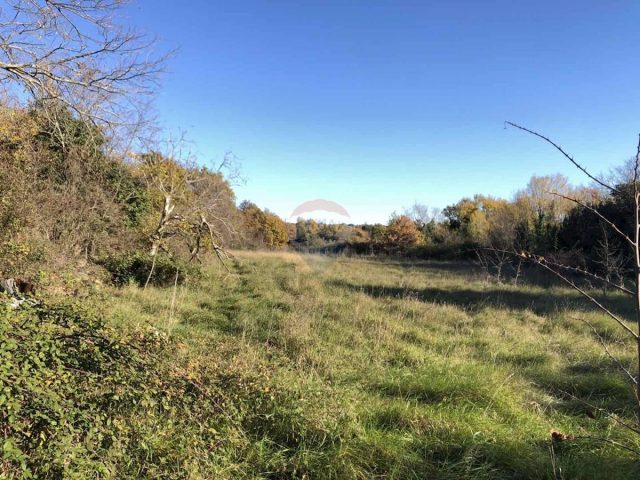 Pozemek na prodej 6457 m² – Labinci