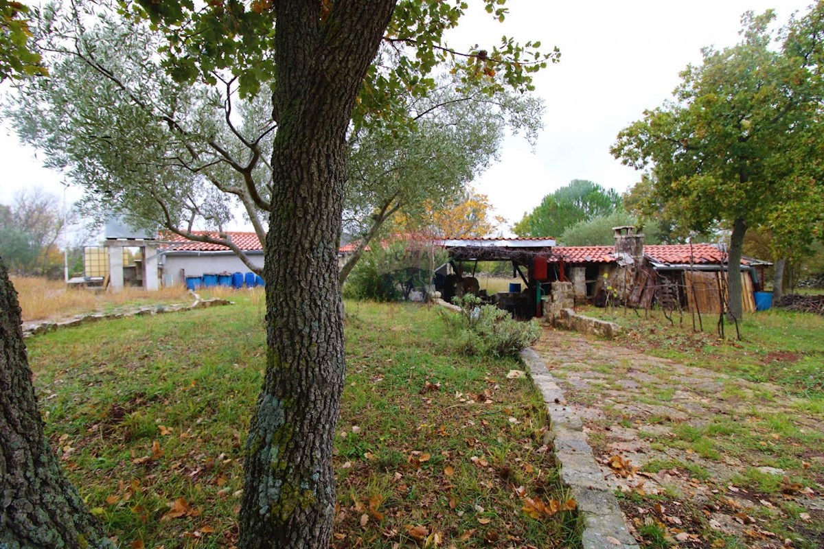 Dům Na prodej ROVINJ