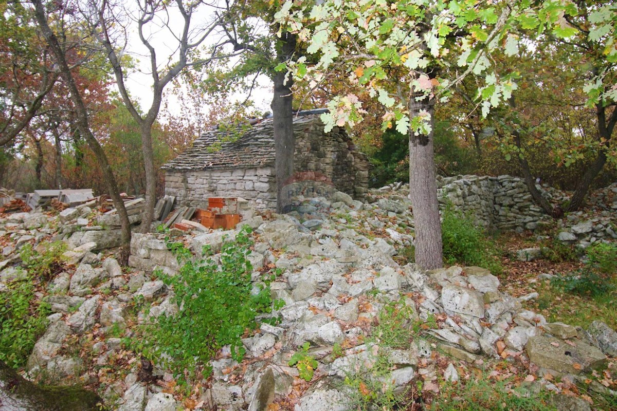 Dům Na prodej - ISTARSKA  ROVINJ 