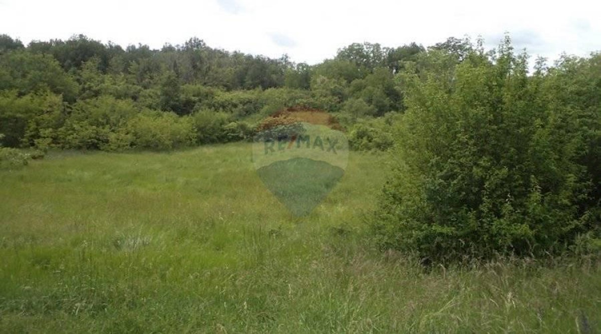 Land For sale - ISTARSKA  PAZIN 