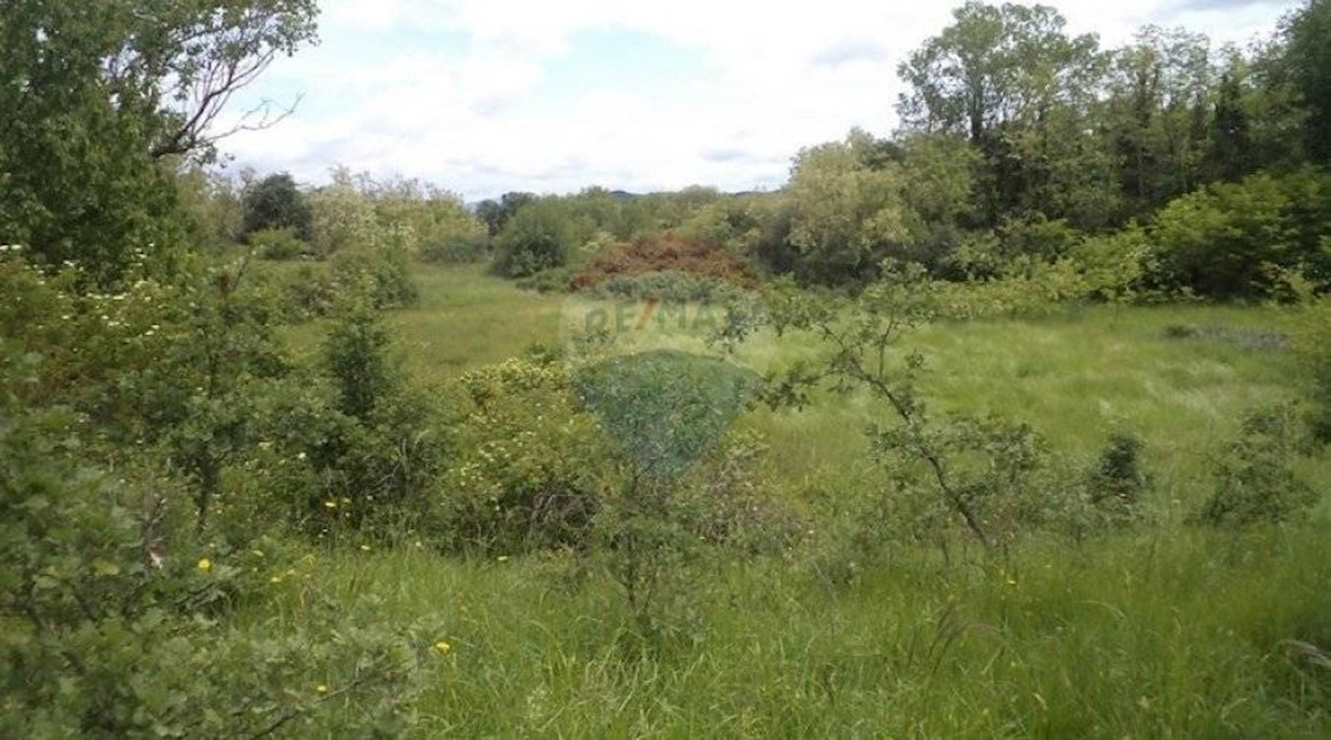 Land For sale - ISTARSKA  PAZIN 