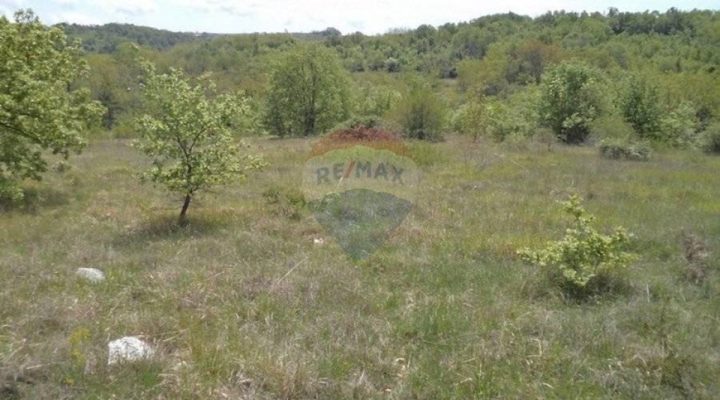 Parcela na predaj 6686 m² – Trviž