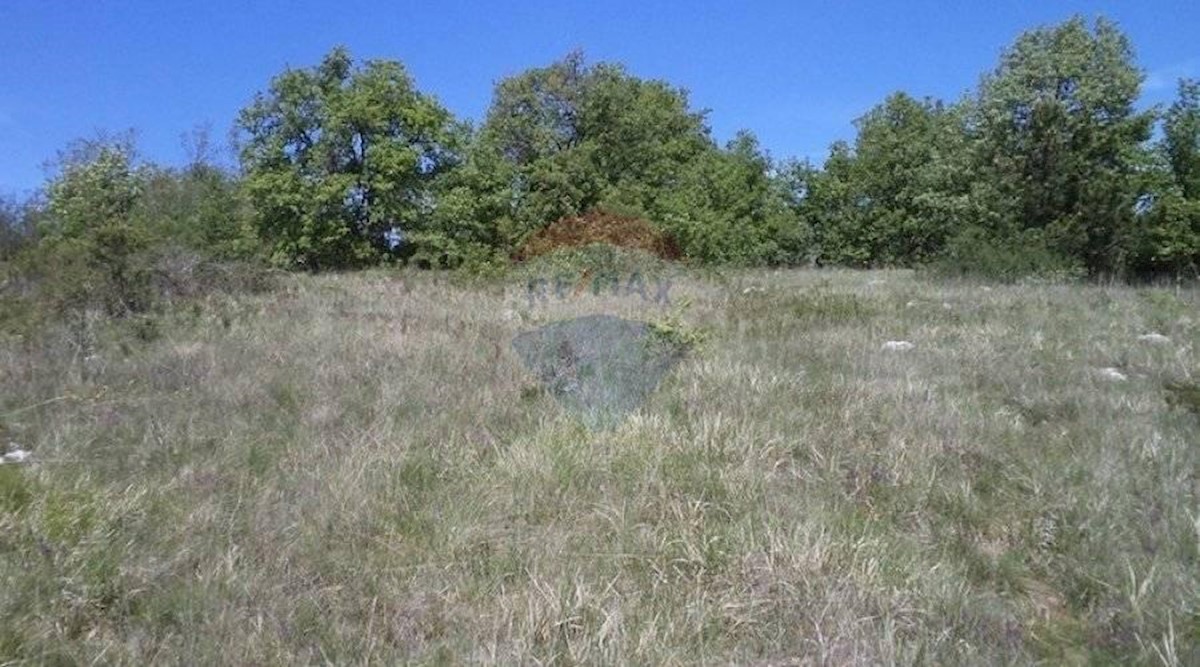 Grundstück Zu verkaufen - ISTARSKA  PAZIN 