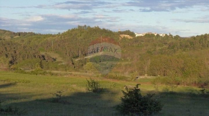 Parcela na predaj 46576 m² – Trviž