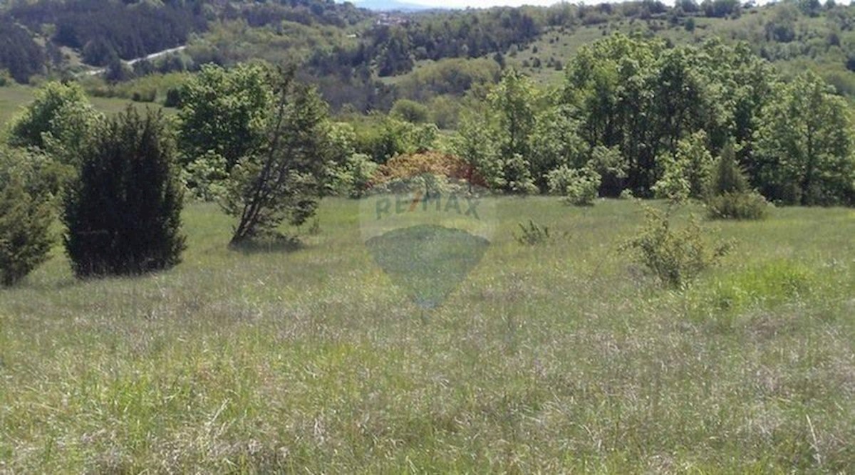 Zemljište Na prodaju - ISTARSKA  PAZIN 