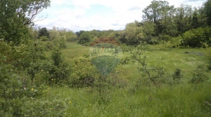 Parcela na predaj 15927 m² – Trviž