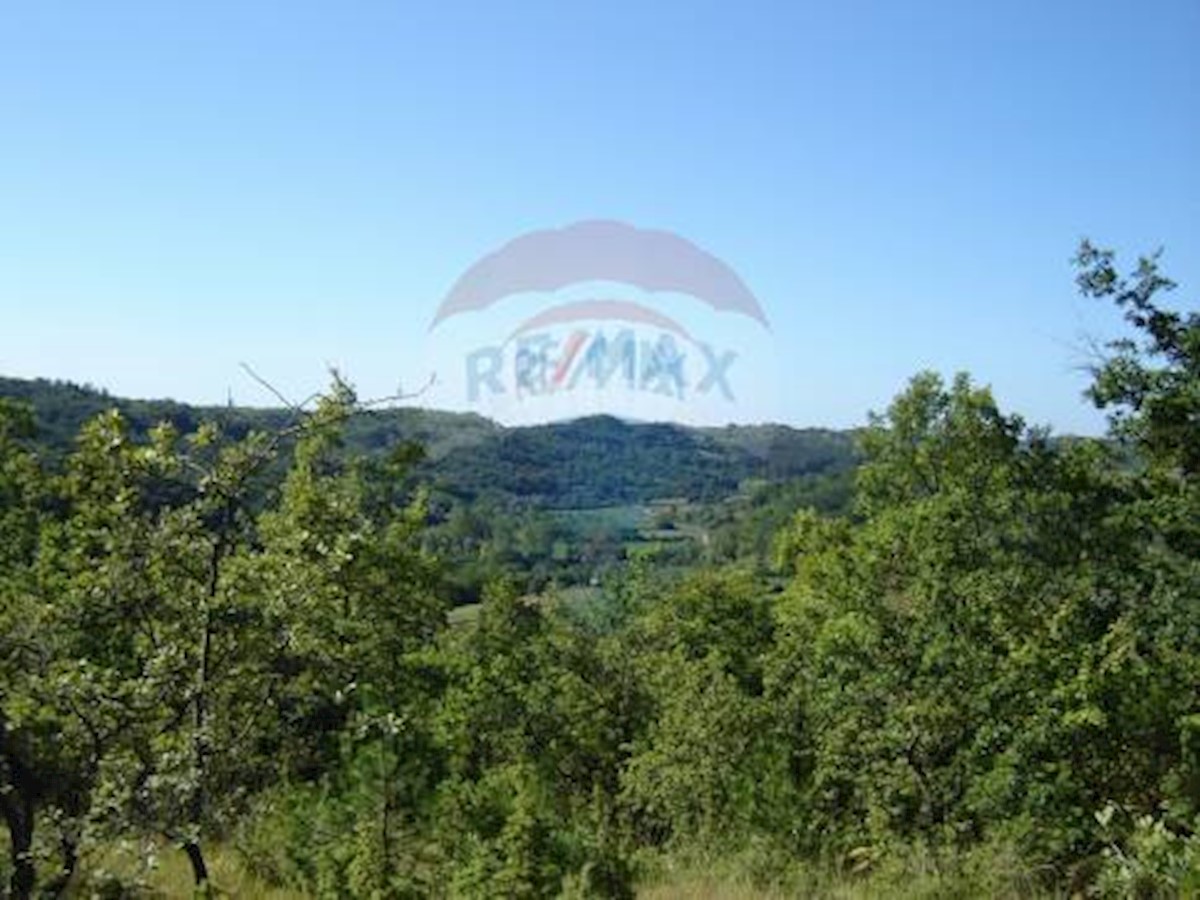 Land For sale NOVAKI MOTOVUNSKI