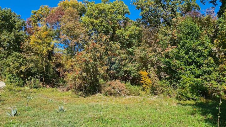 Land For sale - Primorsko-goranska Matulji - foto 2/2