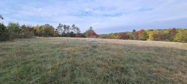 Działka na sprzedaż 10328 m² – Grožnjan