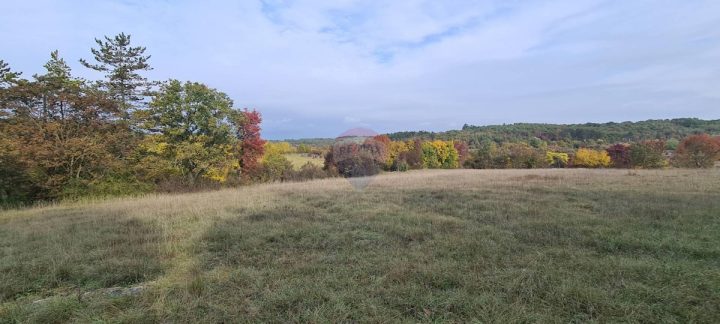 Land For sale - Istarska Grožnjan - foto 2/11