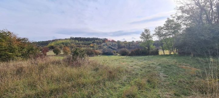 Land For sale - Istarska Grožnjan - foto 3/11
