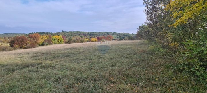Land For sale - Istarska Grožnjan - foto 4/11