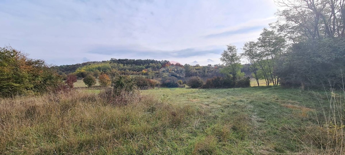 Zemljište Na prodaju - ISTARSKA  GROŽNJAN 