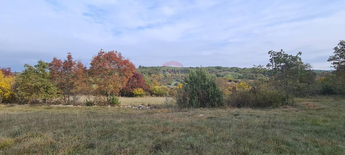 Pozemek Na prodej - ISTARSKA  GROŽNJAN 