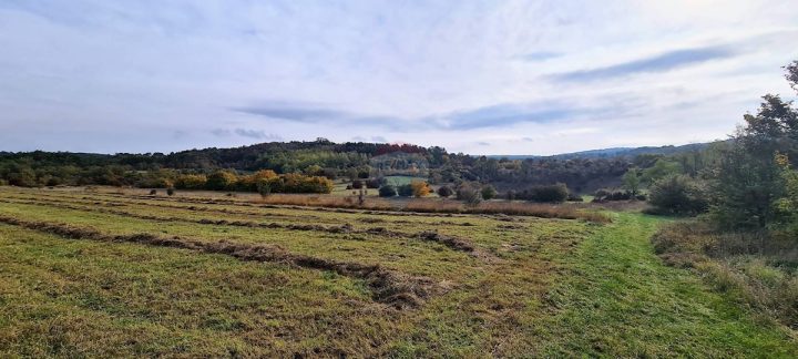 Grundstück Zu verkaufen - Istarska Grožnjan - foto 3/12