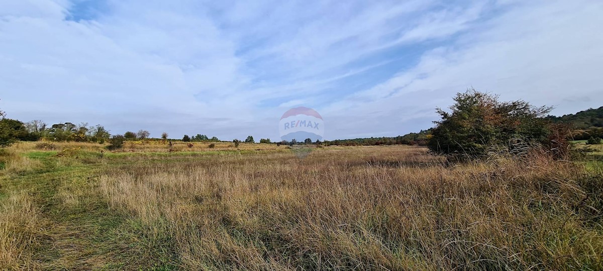 Land For sale - ISTARSKA  GROŽNJAN 