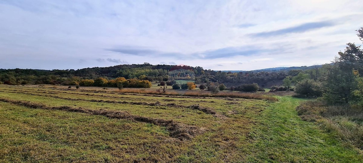 Land For sale - ISTARSKA  GROŽNJAN 