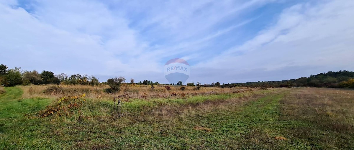 Land For sale - ISTARSKA  GROŽNJAN 