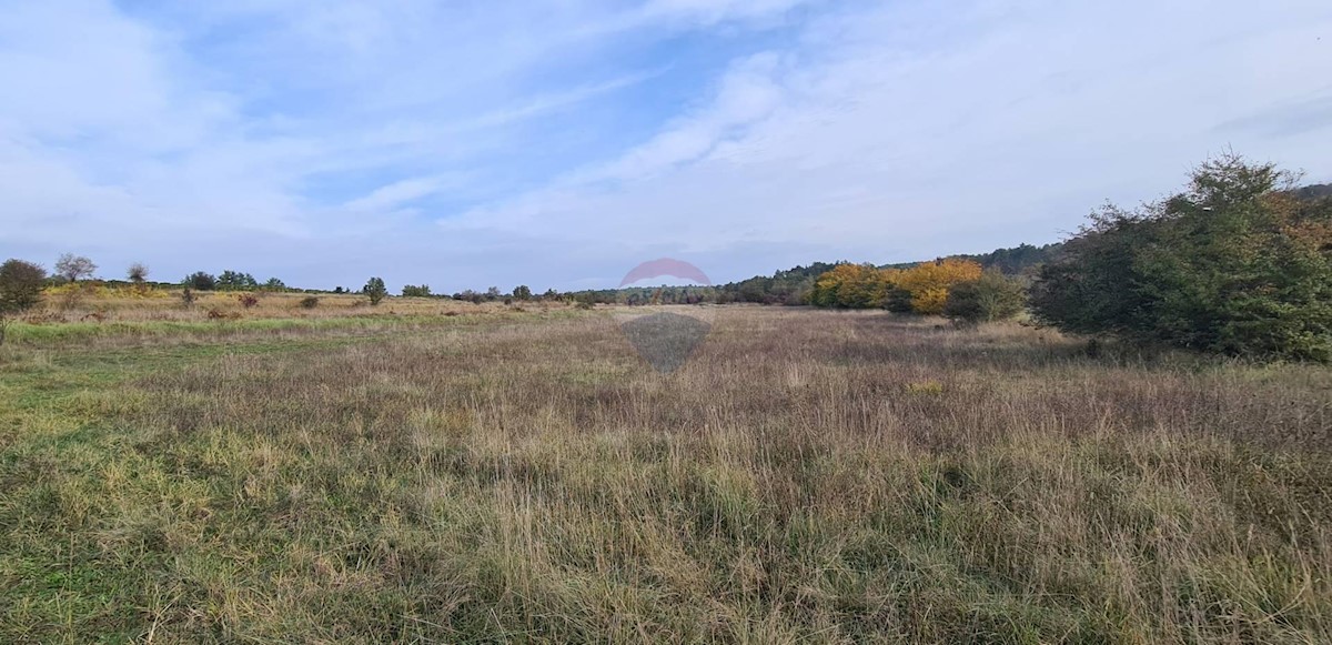 Land For sale - ISTARSKA  GROŽNJAN 