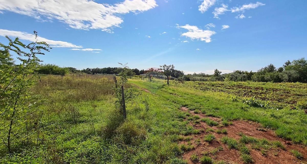 Terreno In vendita - ISTARSKA  UMAG 