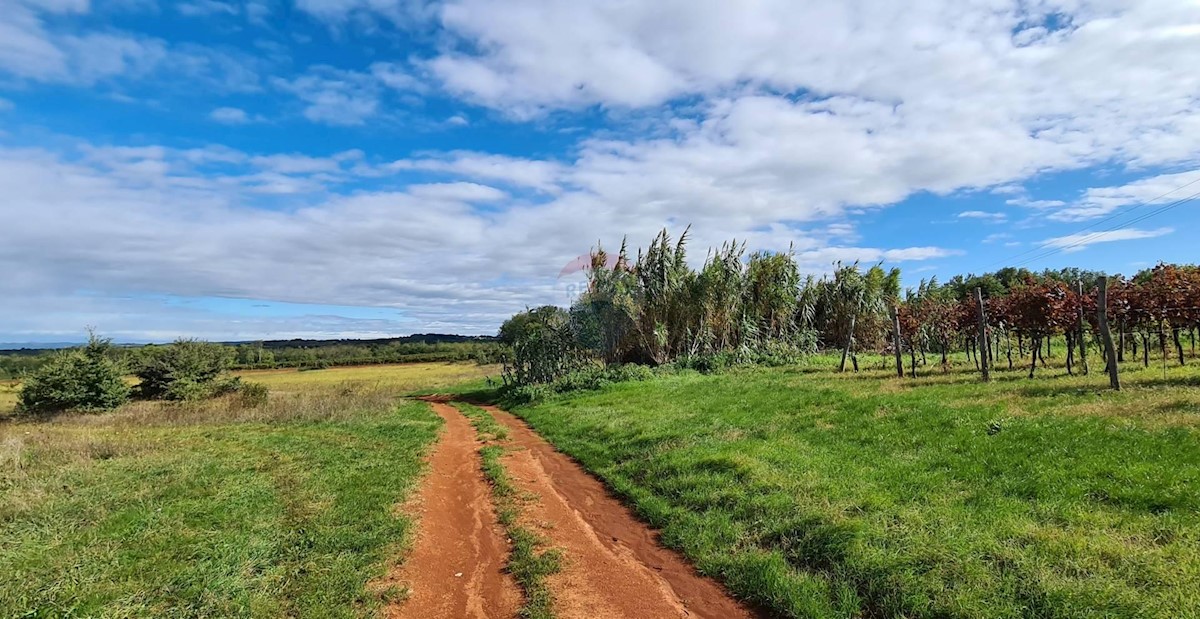 Terreno In vendita - ISTARSKA  UMAG 