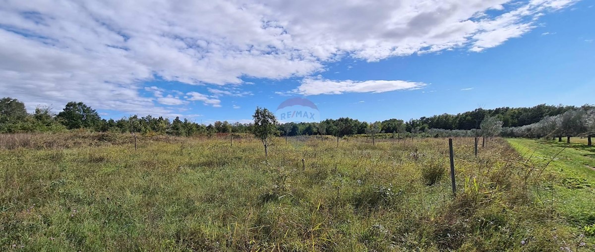 Terreno In vendita - ISTARSKA  UMAG 