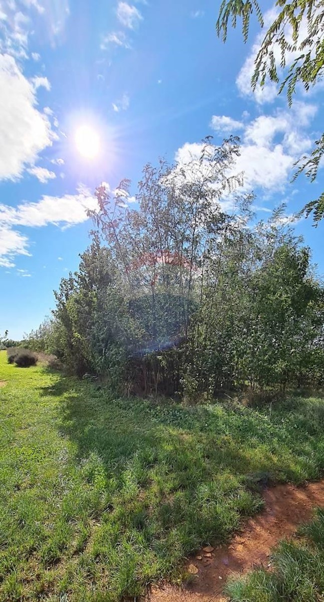 Terreno In vendita - ISTARSKA  UMAG 