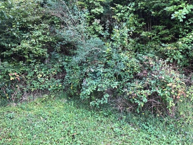 Land For sale - Primorsko-goranska Matulji - foto 2/3