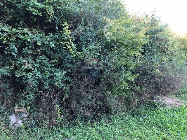 Land For sale - Primorsko-goranska Matulji - foto 3/3