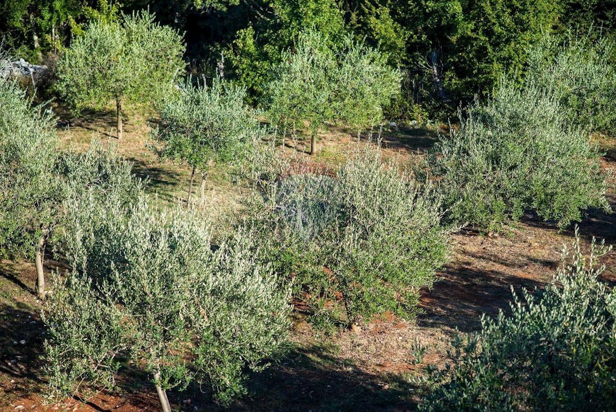 Kuća Na prodaju - PRIMORSKO-GORANSKA  KRK 