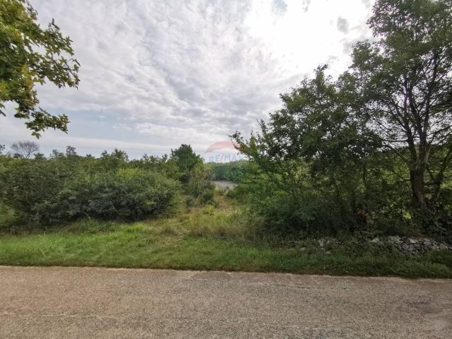 Land for sale 5363 m² – Grožnjan