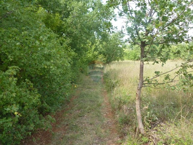 Działka na sprzedaż 17227 m² – Vržnaveri