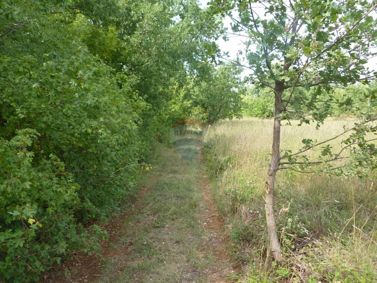 Land For sale VRŽNAVERI
