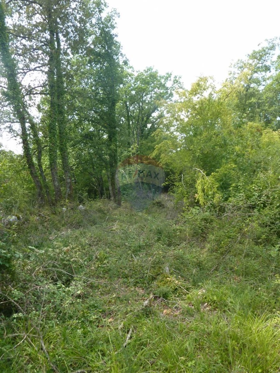 Terreno In vendita - ISTARSKA  POREČ 