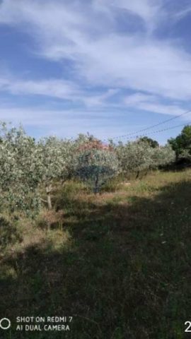 Działka Na sprzedaż - Istarska Marčana - foto 2/2