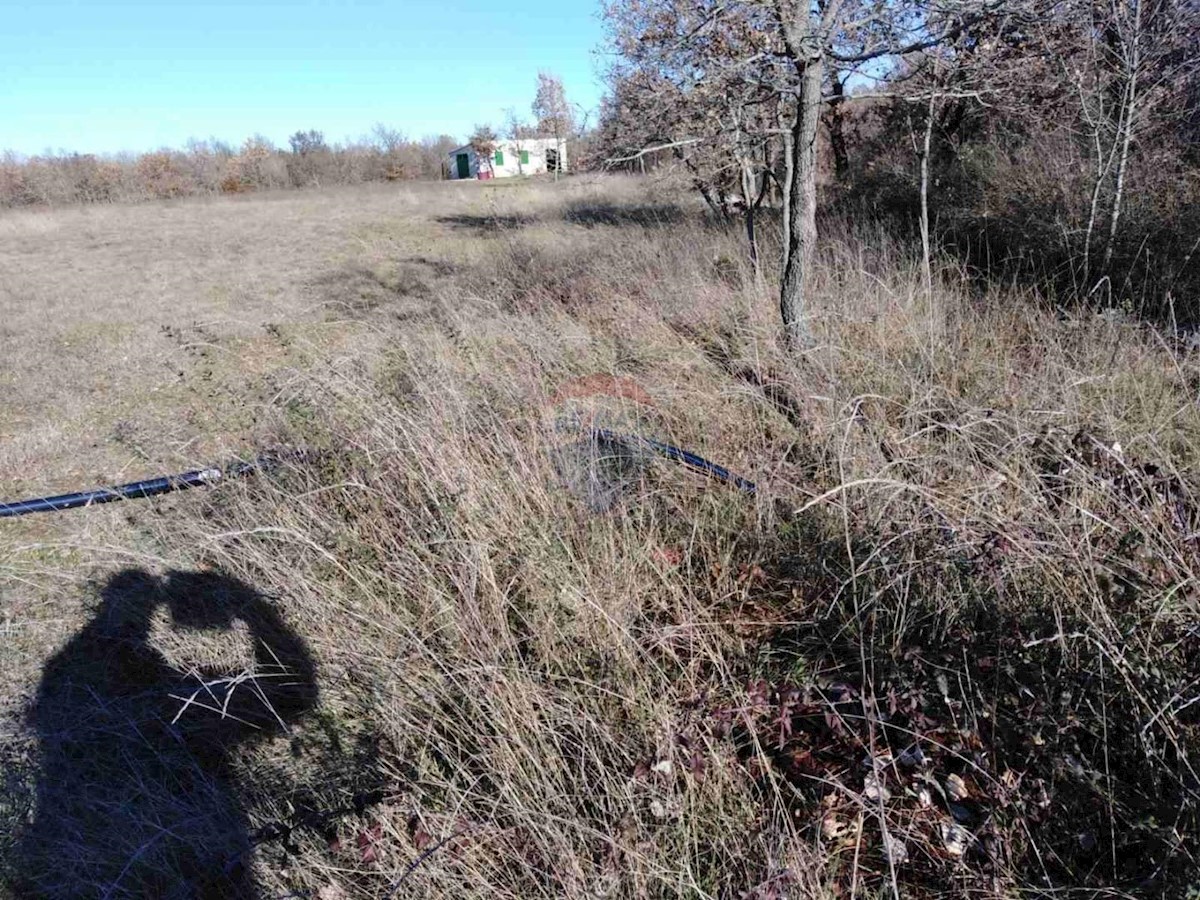 Terreno In vendita - ISTARSKA  Svetvinčenat