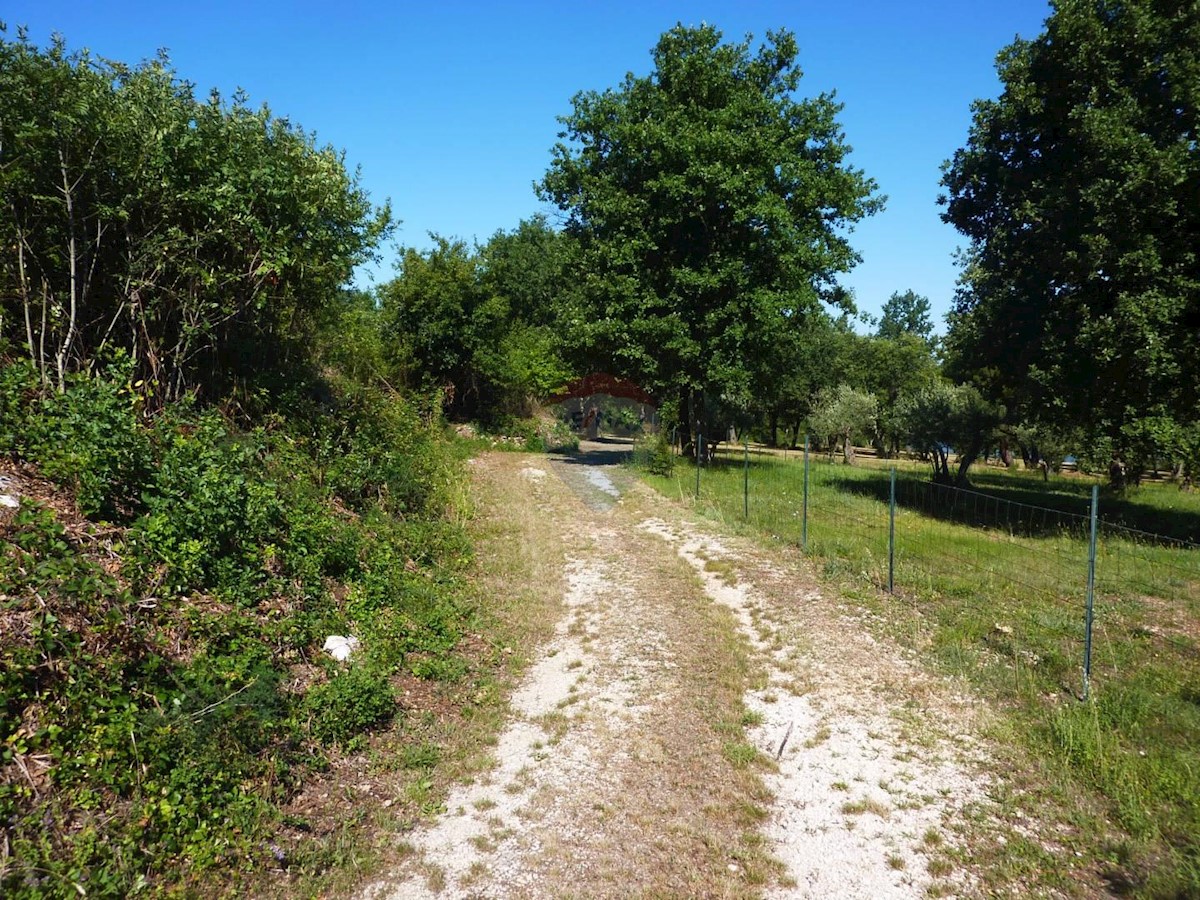 Zemljište Na prodaju - ISTARSKA  TAR-VABRIGA 