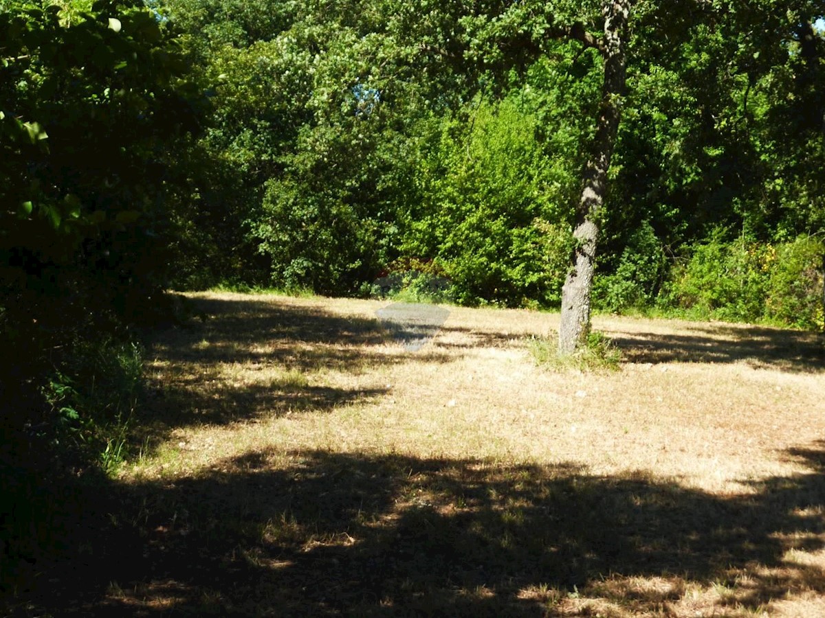 Pozemek Na prodej - ISTARSKA  TAR-VABRIGA 